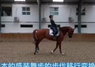 银甲小姐姐骑马,小姐姐骑马展现侠骨柔情